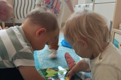 42