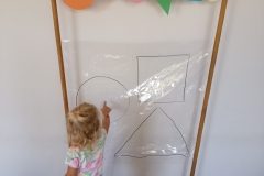 43