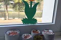 50