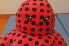51