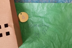 55