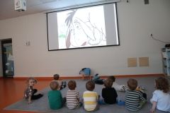 43